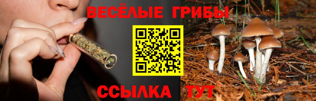 Татарск  Псилоцибиновые грибы мухоморы  Псилоцибиновые грибы Psilocybe  Вход с VPN 